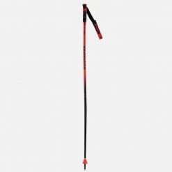 Rossignol Ski Poles Unisex Poles Hero GS-SG